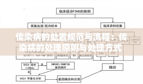 传染病的处置规范与流程：传染病的处理原则与处理方式 
