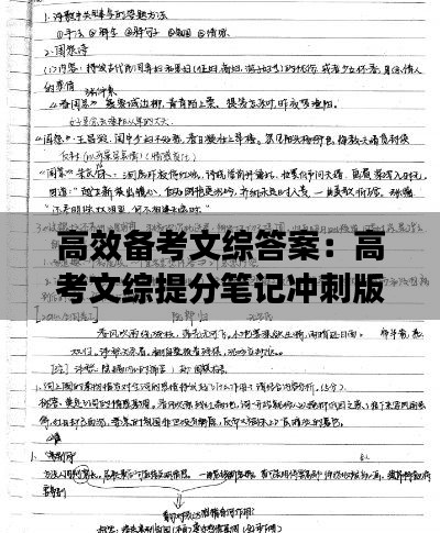 高效备考文综答案：高考文综提分笔记冲刺版 