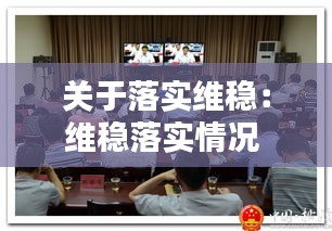 关于落实维稳：维稳落实情况 