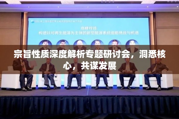 宗旨性质深度解析专题研讨会，洞悉核心，共谋发展
