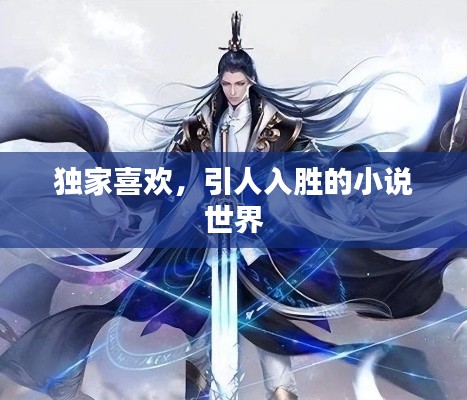 独家喜欢，引人入胜的小说世界