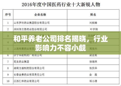 和平养老公司排名揭晓，行业影响力不容小觑