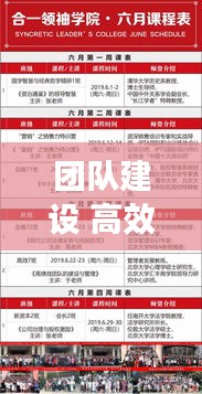 团队建设 高效管理：团队建设高效阶段的特征 