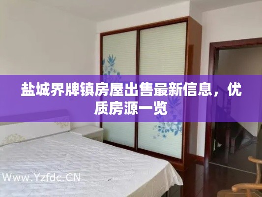 盐城界牌镇房屋出售最新信息，优质房源一览