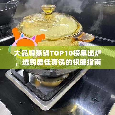 大品牌蒸锅TOP10榜单出炉，选购最佳蒸锅的权威指南