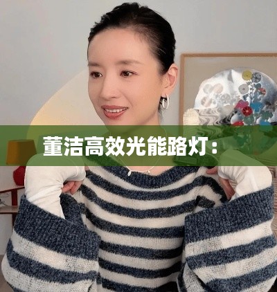 董洁高效光能路灯： 