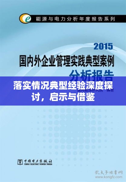 落实情况典型经验深度探讨，启示与借鉴