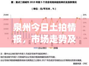 泉州今日土拍情报，市场走势及影响深度解析