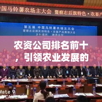 农资公司排名前十，引领农业发展的领航者
