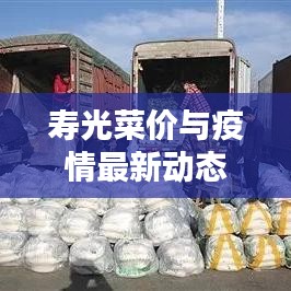 寿光菜价与疫情最新动态
