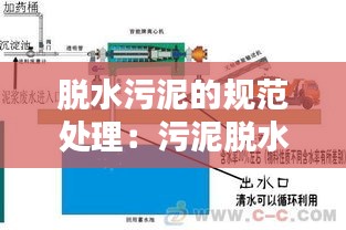 脱水污泥的规范处理：污泥脱水的运行要求 