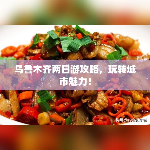 不飞则已 第3页