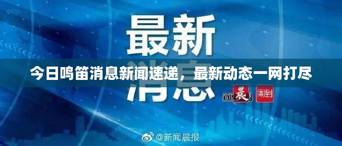 今日鸣笛消息新闻速递，最新动态一网打尽