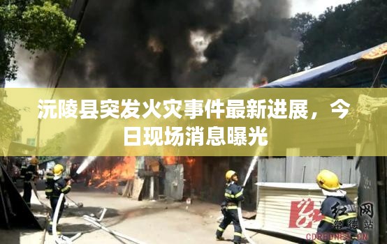 粗衣淡饭 第3页