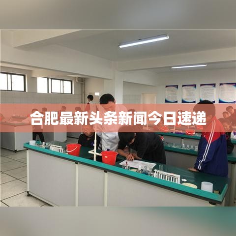 合肥最新头条新闻今日速递