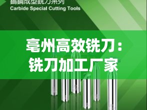 按部就班 第4页