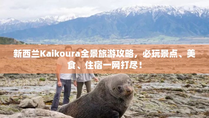 一丝不苟 第4页