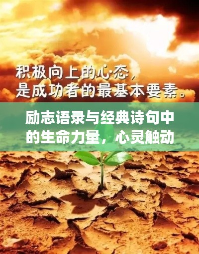 学贵有疑 第3页