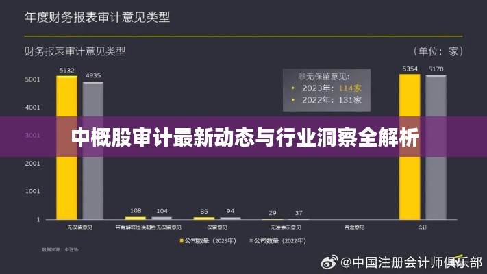 中概股审计最新动态与行业洞察全解析