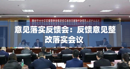 意见落实反馈会：反馈意见整改落实会议 
