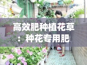 高效肥种植花草：种花专用肥 