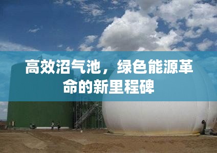 高效沼气池，绿色能源革命的新里程碑