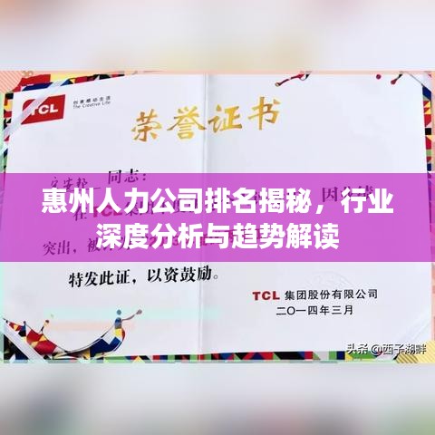 惠州人力公司排名揭秘，行业深度分析与趋势解读