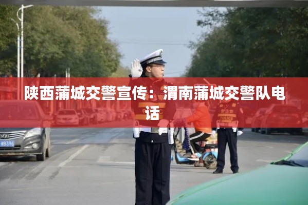 陕西蒲城交警宣传：渭南蒲城交警队电话 