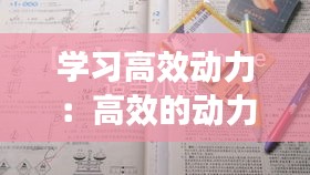 学习高效动力：高效的动力 