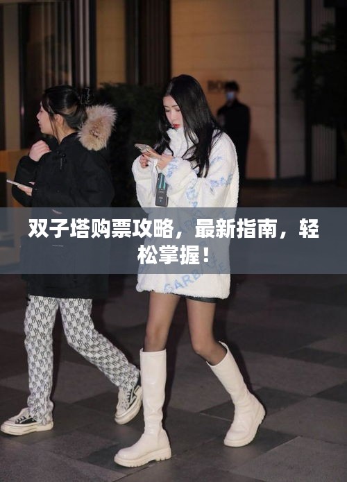 双子塔购票攻略，最新指南，轻松掌握！