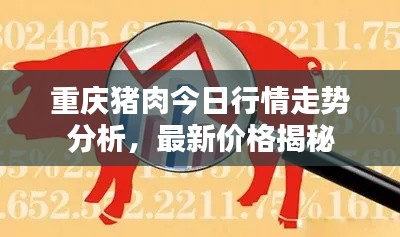 重庆猪肉今日行情走势分析，最新价格揭秘