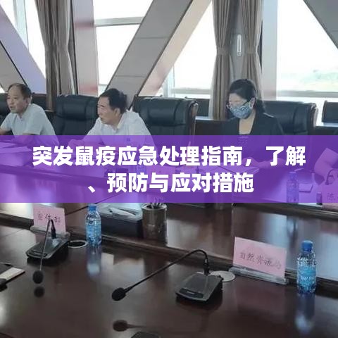 突发鼠疫应急处理指南，了解、预防与应对措施