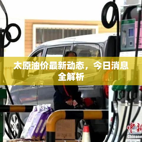 太原油价最新动态，今日消息全解析