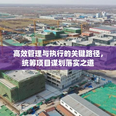 高效管理与执行的关键路径，统筹项目谋划落实之道