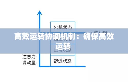 高效运转协调机制：确保高效运转 