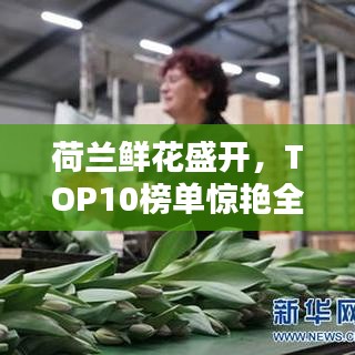荷兰鲜花盛开，TOP10榜单惊艳全球！