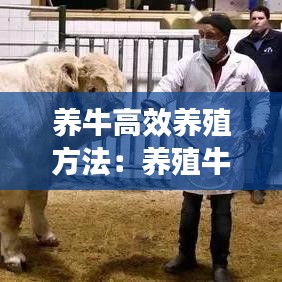 养牛高效养殖方法：养殖牛的养殖方法 