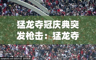 猛龙夺冠庆典突发枪击：猛龙夺冠是哪天 