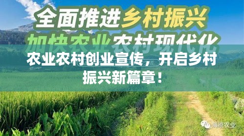 农业农村创业宣传，开启乡村振兴新篇章！