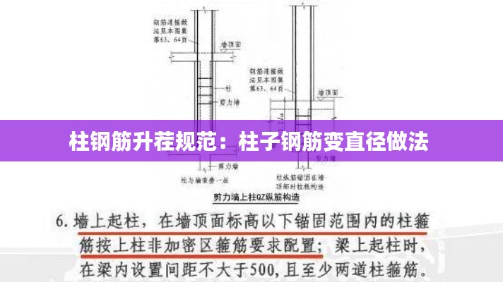别出新意 第4页
