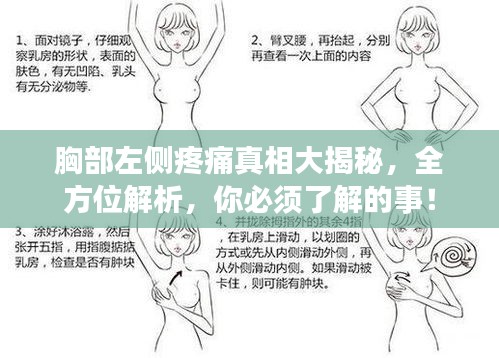 移罇就教 第3页