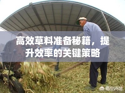 高效草料准备秘籍，提升效率的关键策略