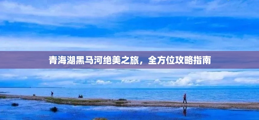 青海湖黑马河绝美之旅，全方位攻略指南