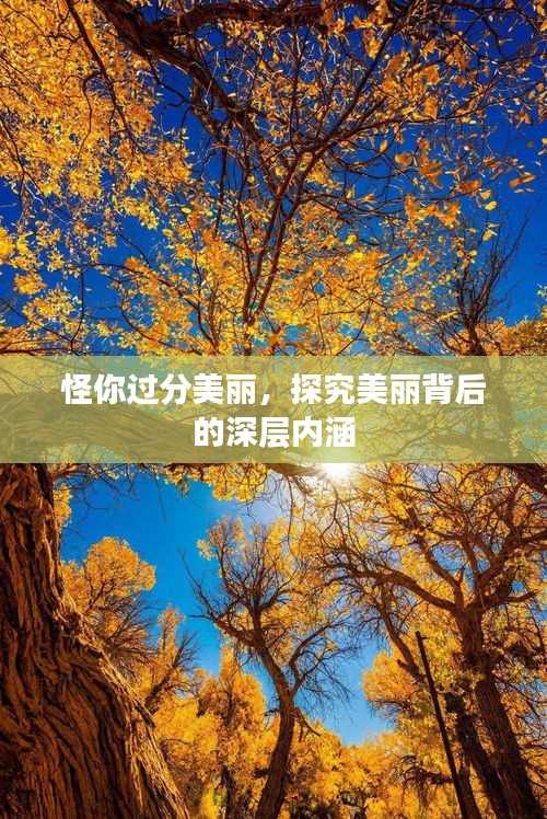 怪你过分美丽，探究美丽背后的深层内涵