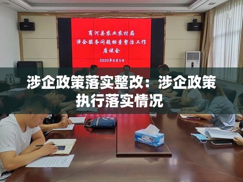 涉企政策落实整改：涉企政策执行落实情况 