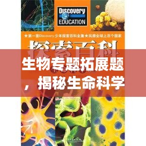 秀外慧中 第3页