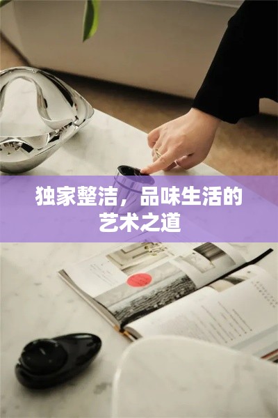 独家整洁，品味生活的艺术之道