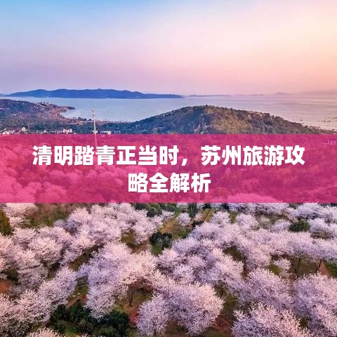 管窥蛙见 第3页