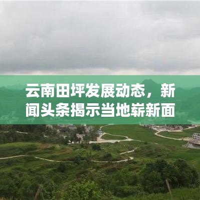 弃文就武 第3页