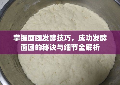 掌握面团发酵技巧，成功发酵面团的秘诀与细节全解析